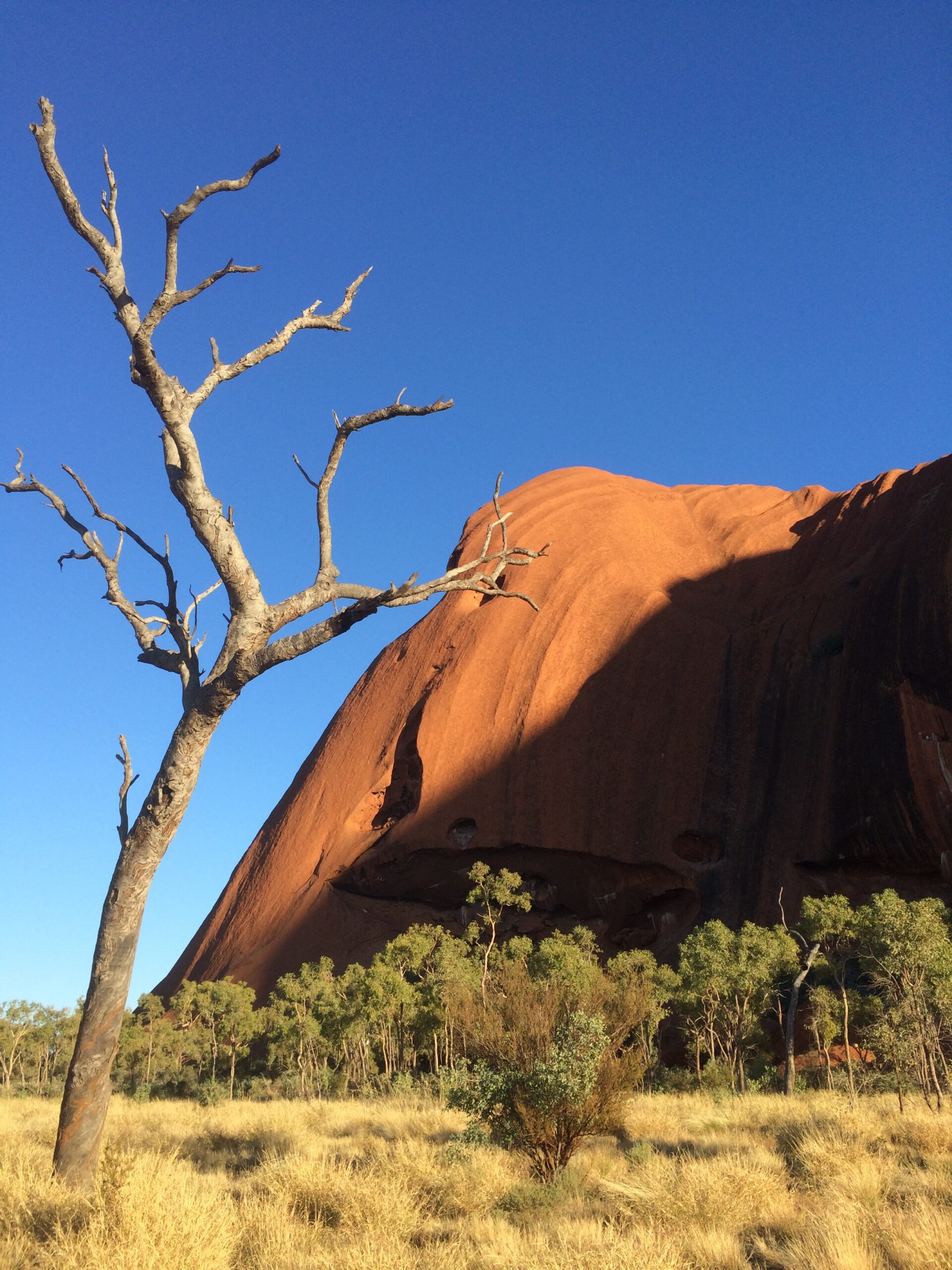 Australien – Bild 15