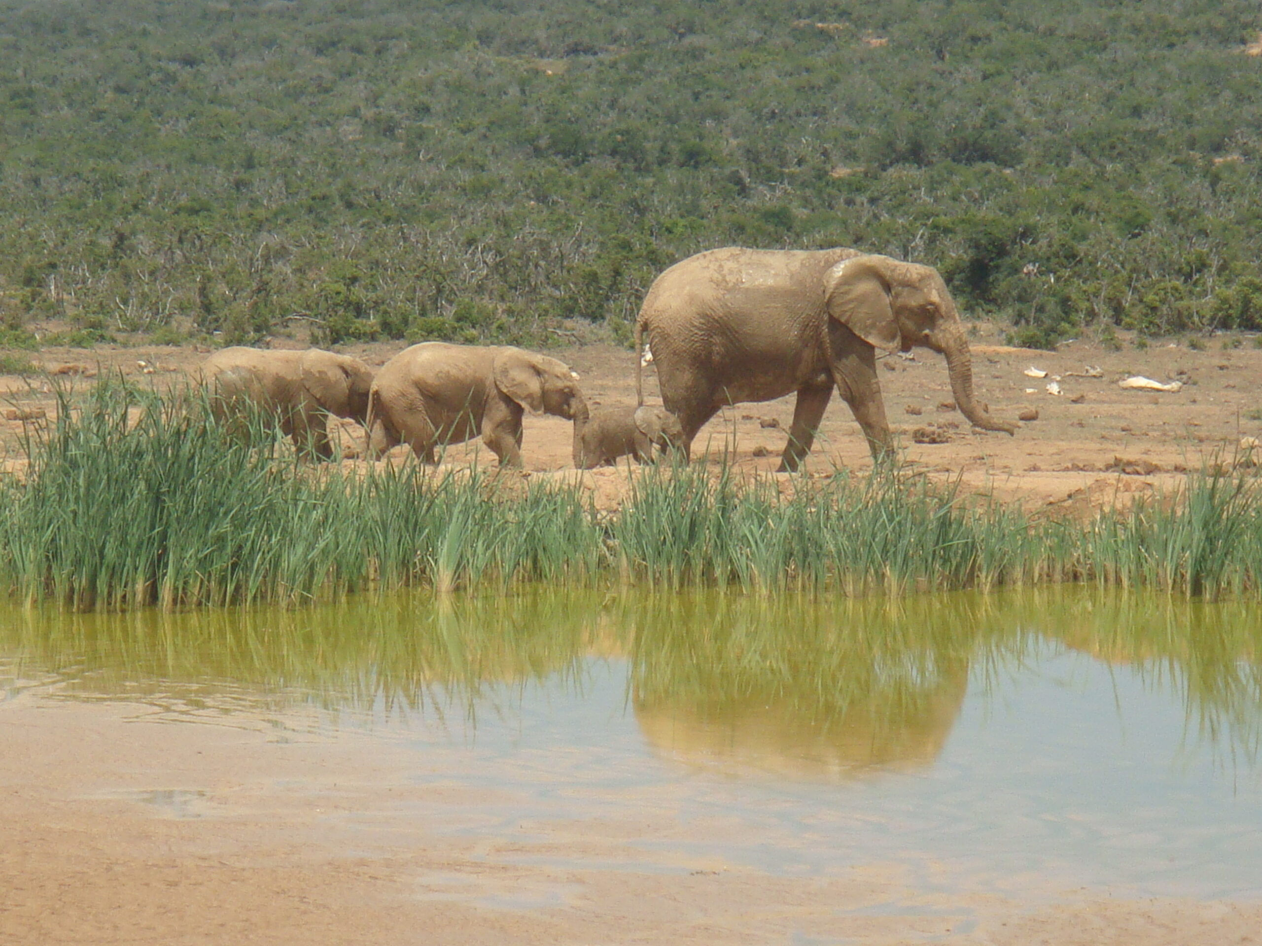 Südafrika – Bild 18