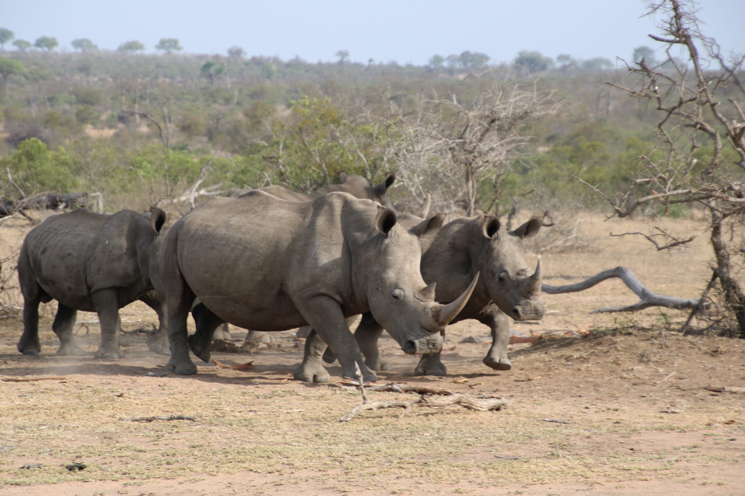 Südafrika – Bild 8