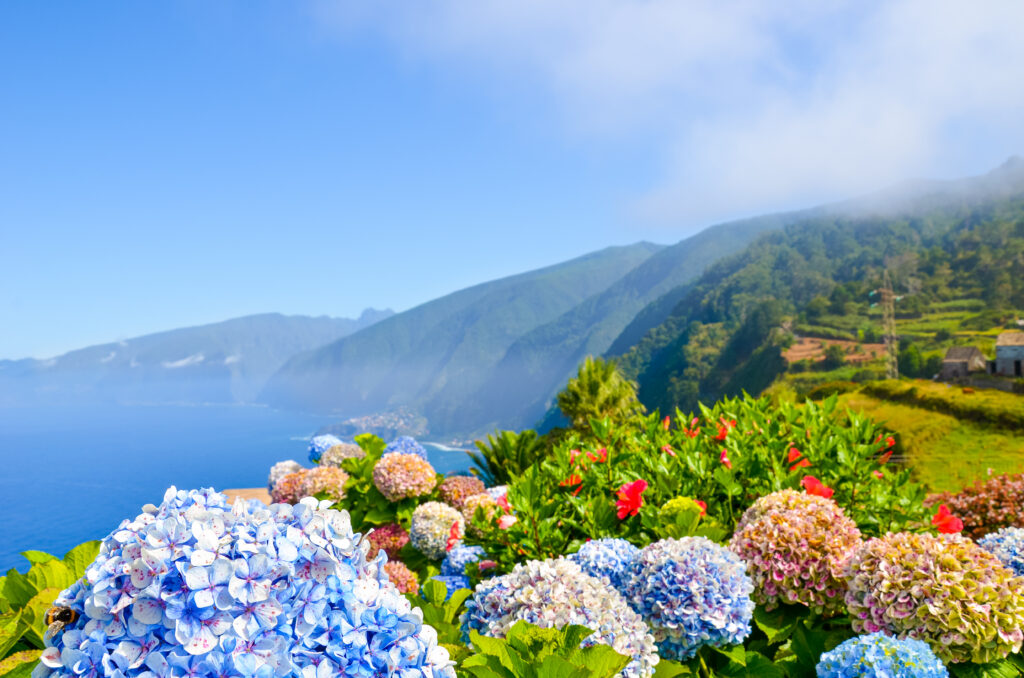 Blumeninsel Madeira
