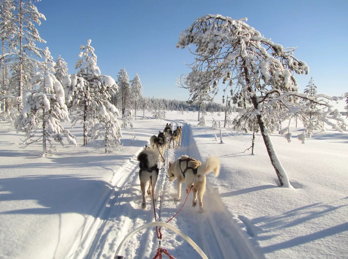 Finnland – Bild 12