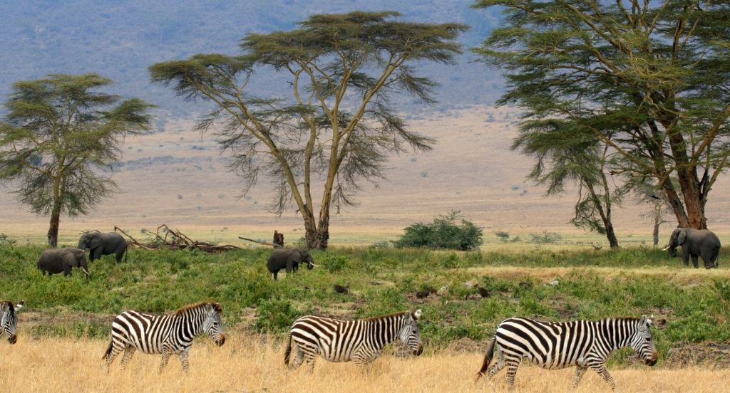 Kenia
