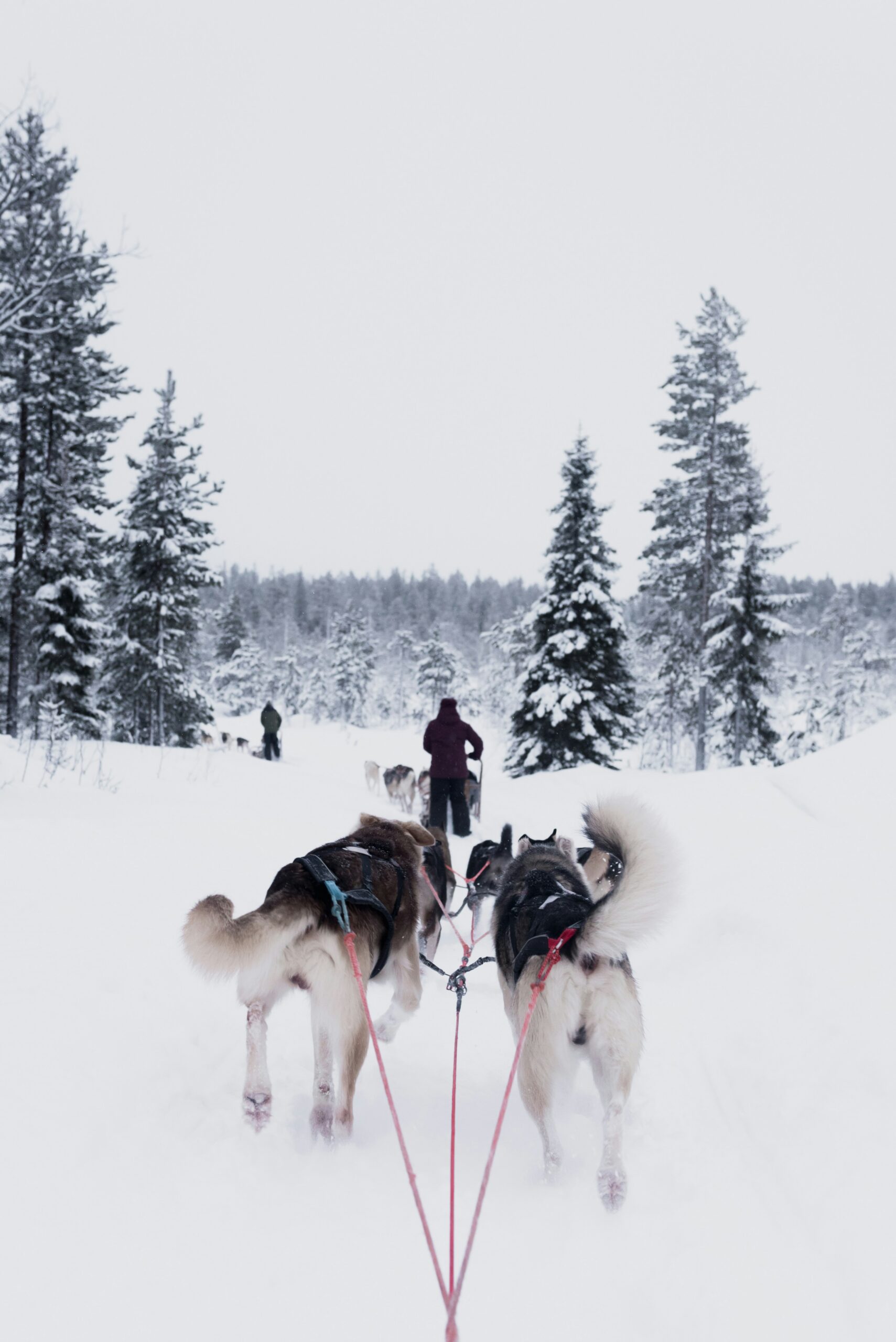 Finnland – Bild 4