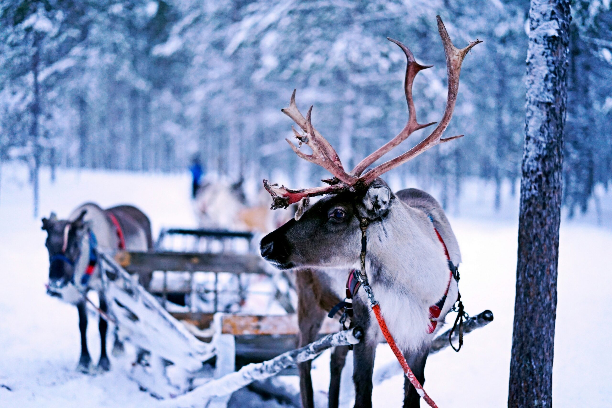 Finnland – Bild 10