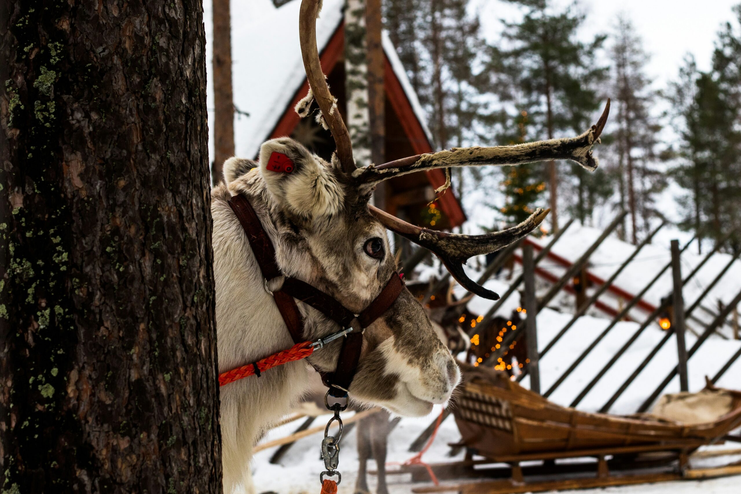 Finnland – Bild 6