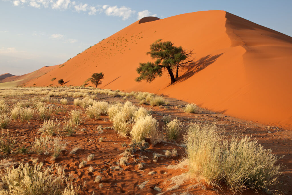 Namibia [Jetzt vormerken!]